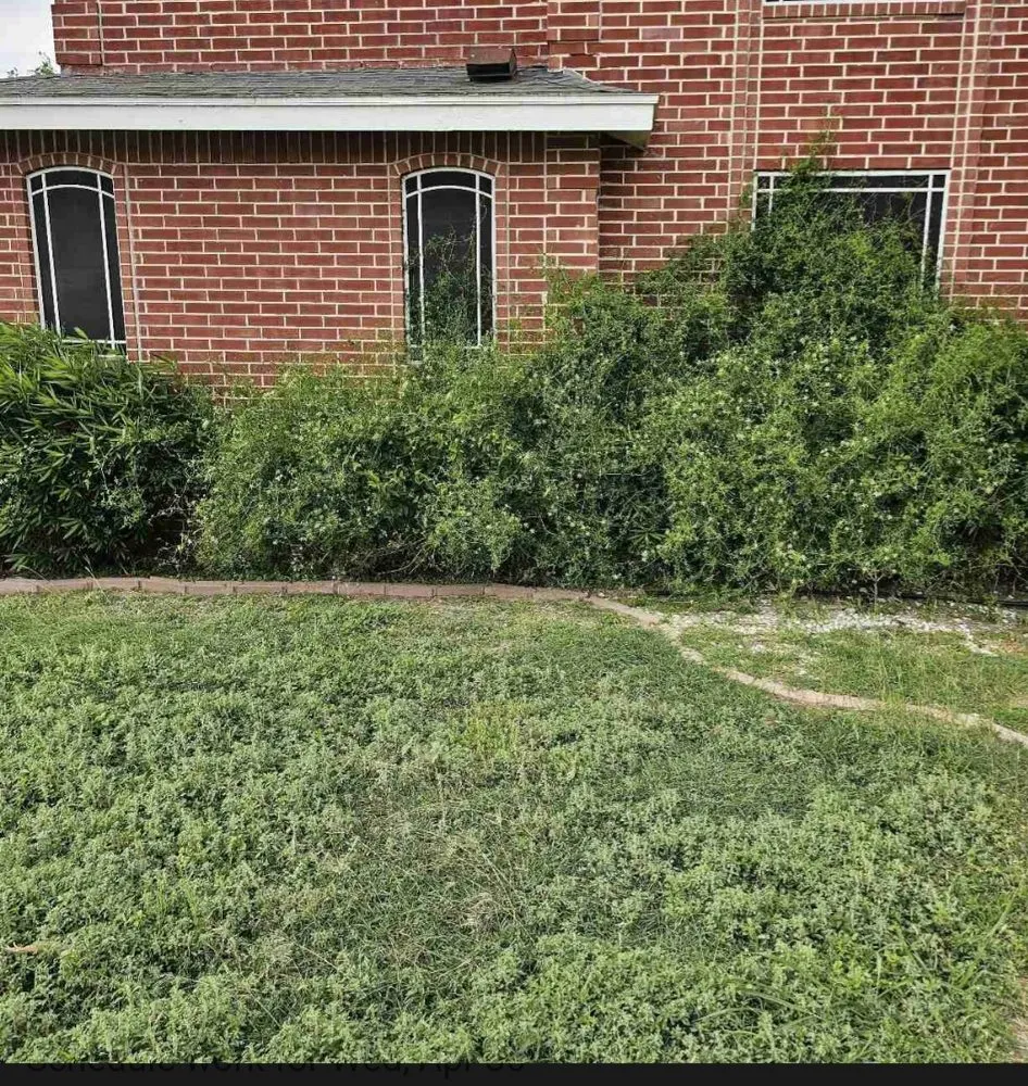 Expert outdoor landscaping with custom design in Mission, TX by Green Steel Lawn Care