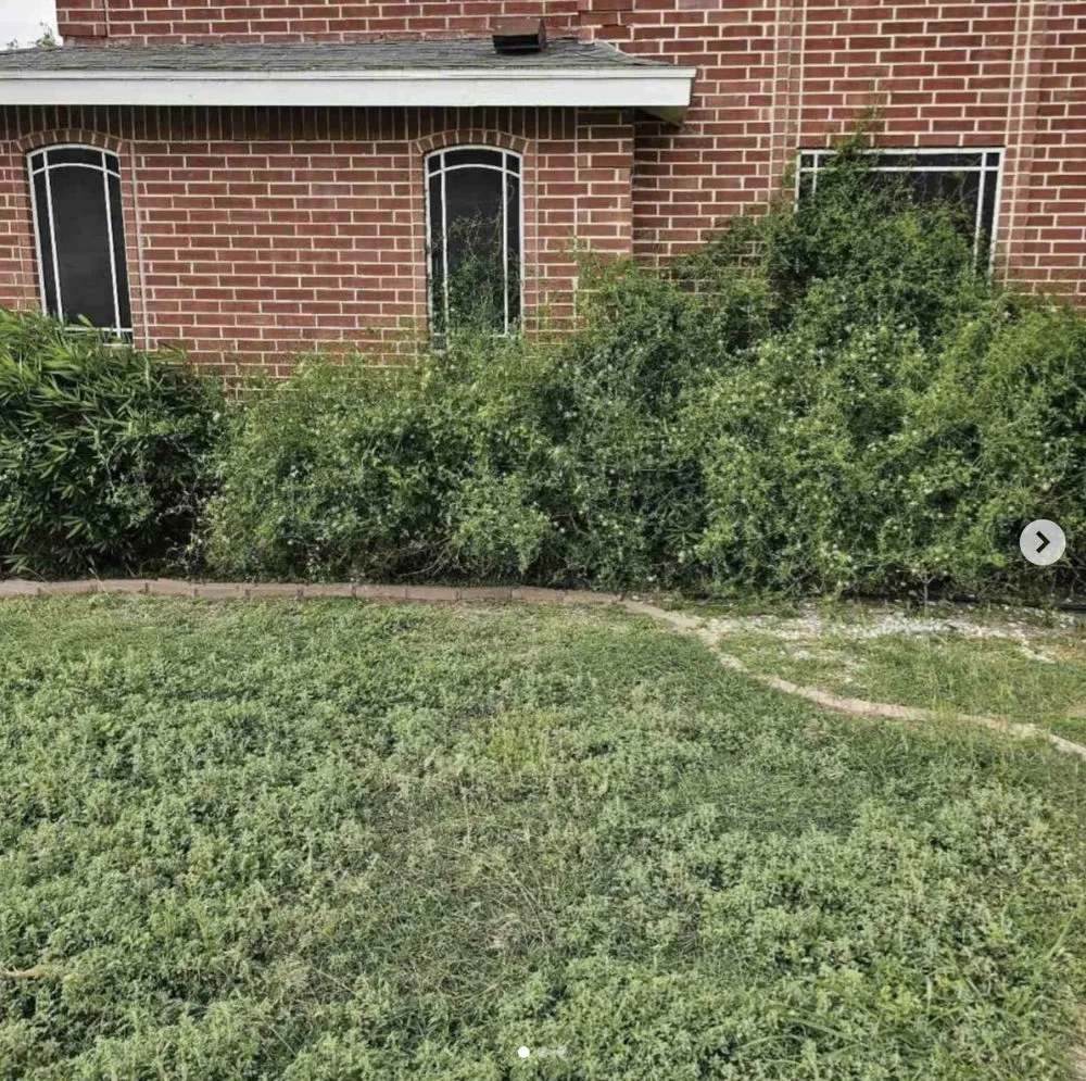 Reliable outdoor landscaping in Mission, TX by Green Steel Lawn Care