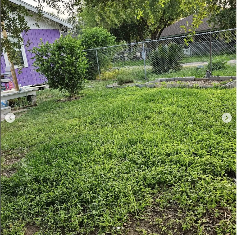 Custom yard cleanup service for residential properties across Mission, TX - Green Steel Lawn Care