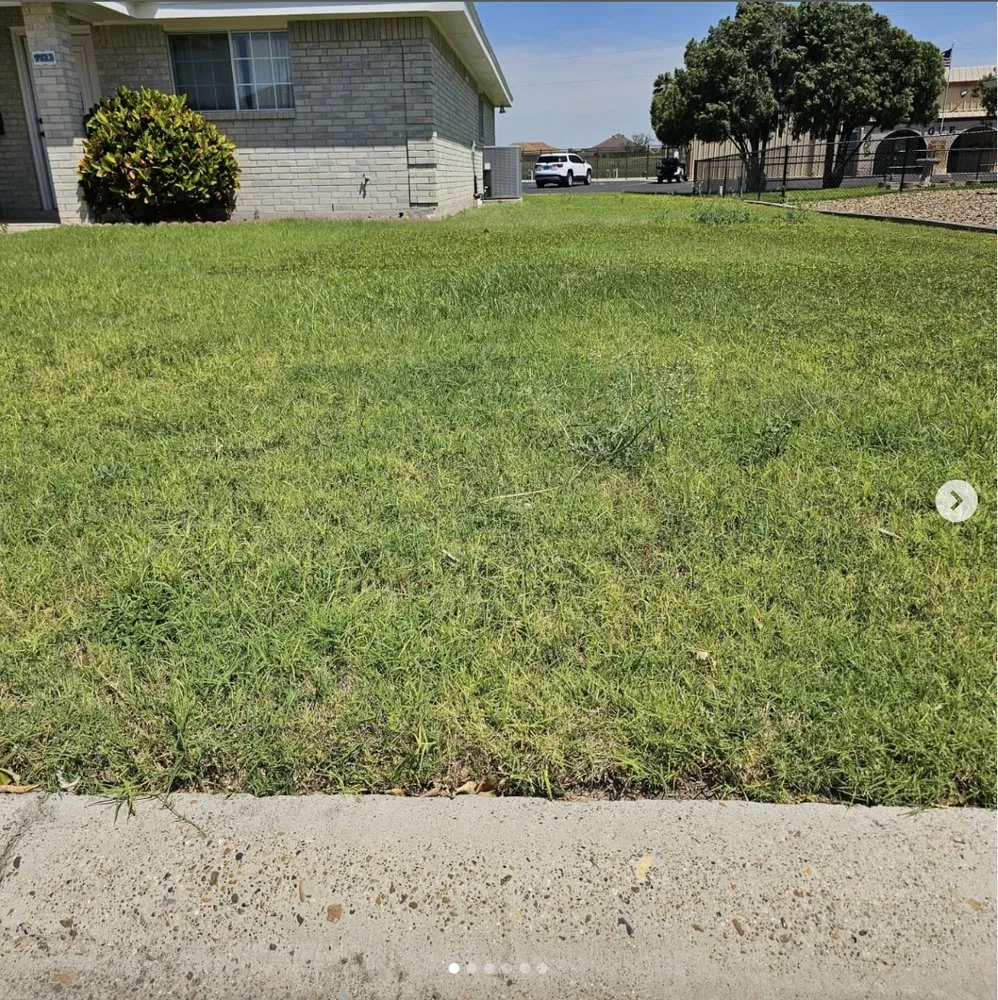 Expert residential landscaping experts serving Mission, TX - Green Steel Lawn Care