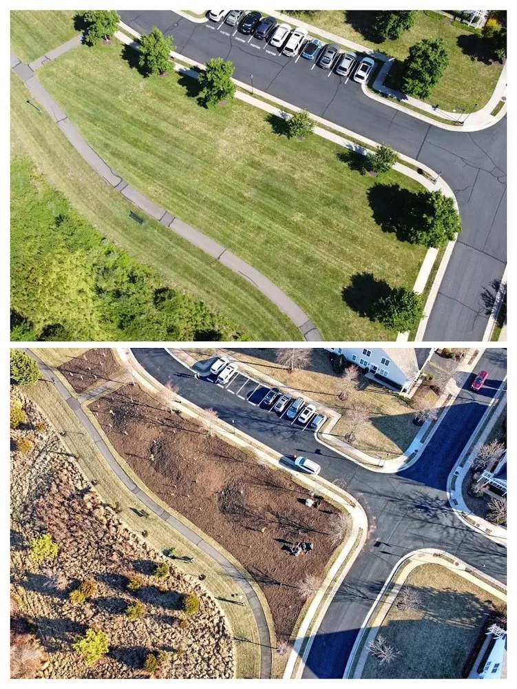 Expert yard cleanup service for residential properties in Gainesville, VA by Green Steeze