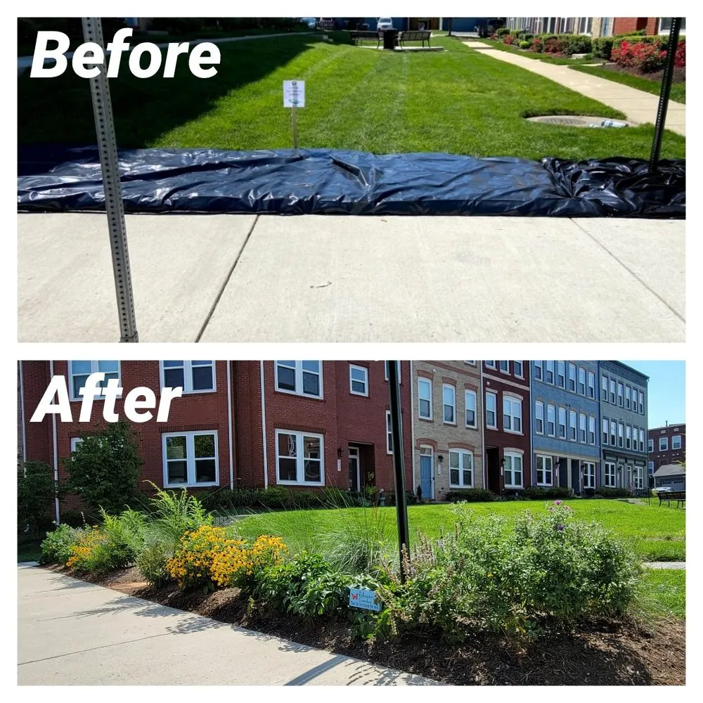 Custom yard cleanup service in Gainesville, VA - Green Steeze