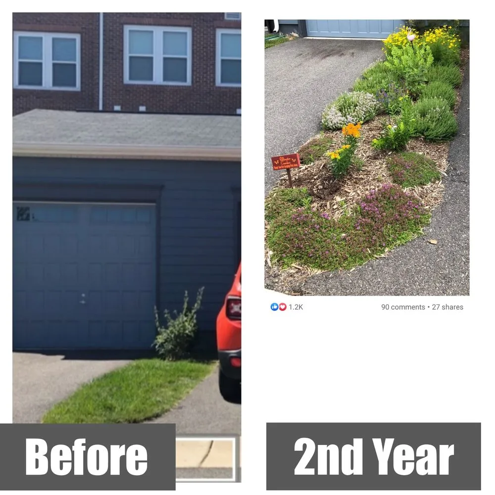 Top-rated yard cleanup service in Gainesville, VA by Green Steeze