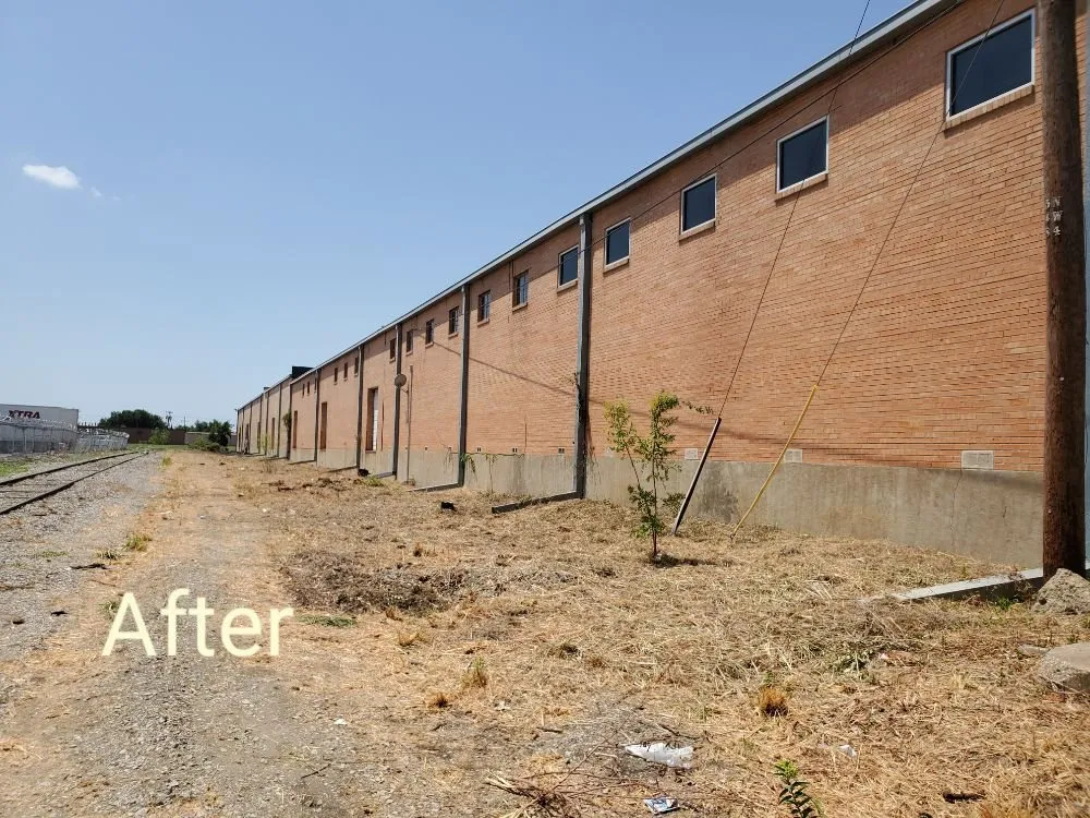 Local landscape design for year-round maintenance in Garland, TX by Green Stone Landscaping