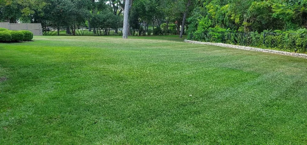 Affordable yard maintenance for homes in Garland, TX by Green Stone Landscaping