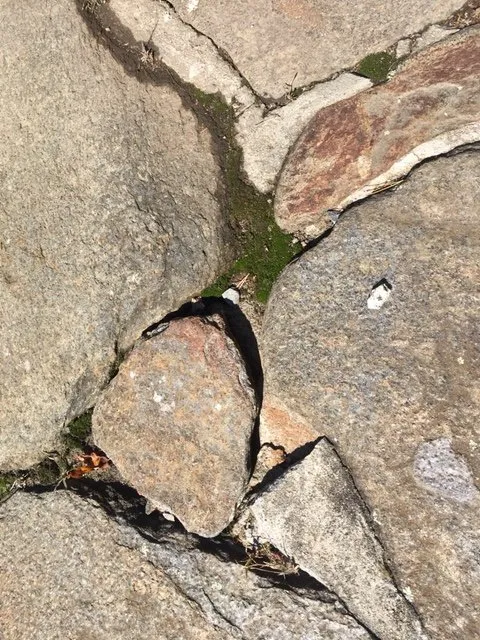 Professional lawn care service in West Springfield, MA by Green Stone Landscaping