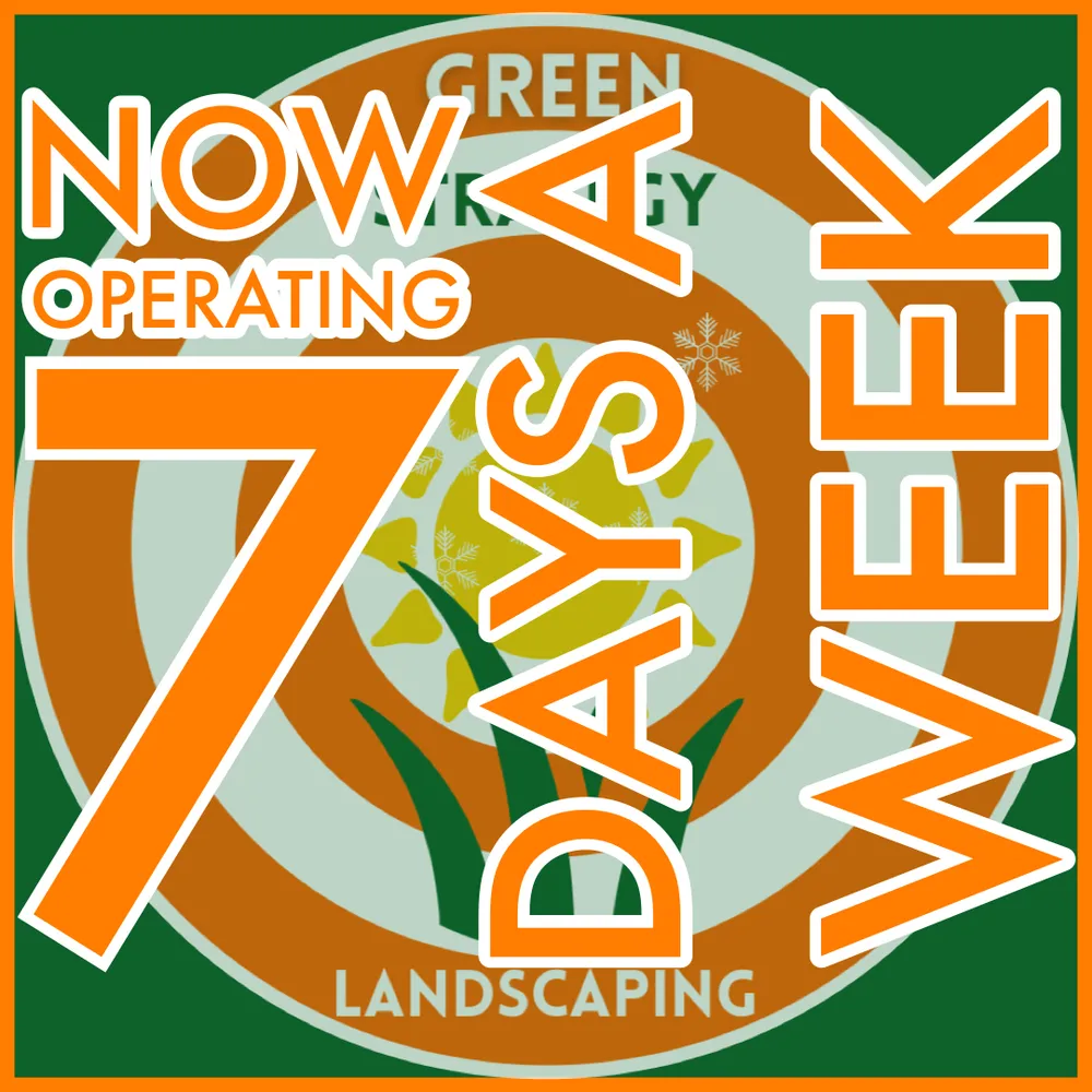 Custom landscaping services for beautiful yards across Detroit, MI - Green Strategy Landscaping