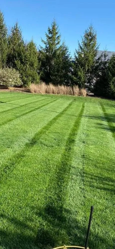 Trusted residential landscaping near you in Lake St. Louis Township, MO by Green Stride Lawn Care