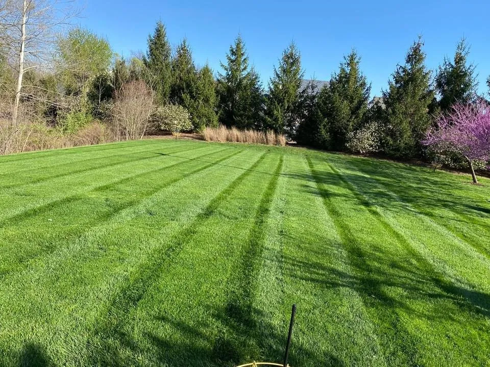 Local landscape installation for beautiful yards in Lake St. Louis Township, MO by Green Stride Lawn Care