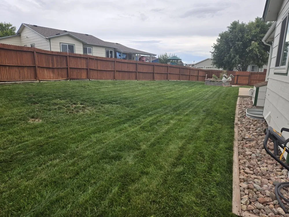 Reliable lawn mowing service for beautiful yards in Colorado Springs, CO by Green Stripe