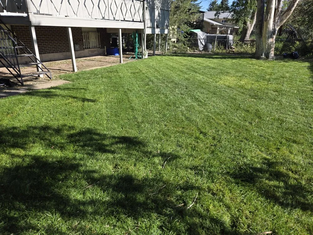 Reliable garden landscaping in Colorado Springs, CO by Green Stripe