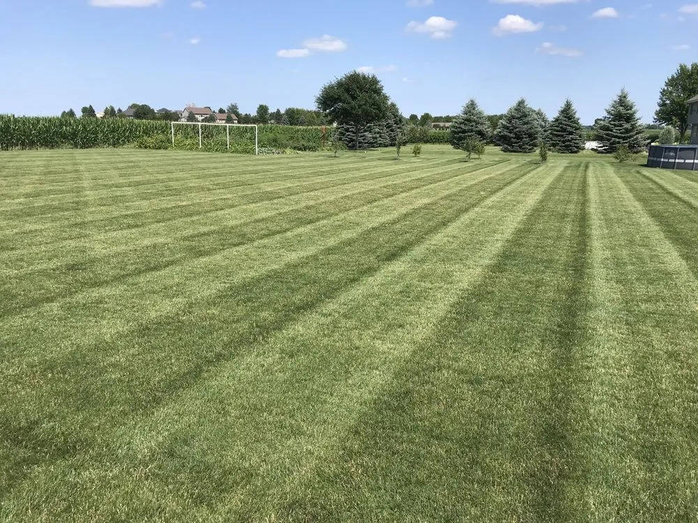Professional yard cleanup service for beautiful yards across Ellington, WI - Green Stripe Mowing