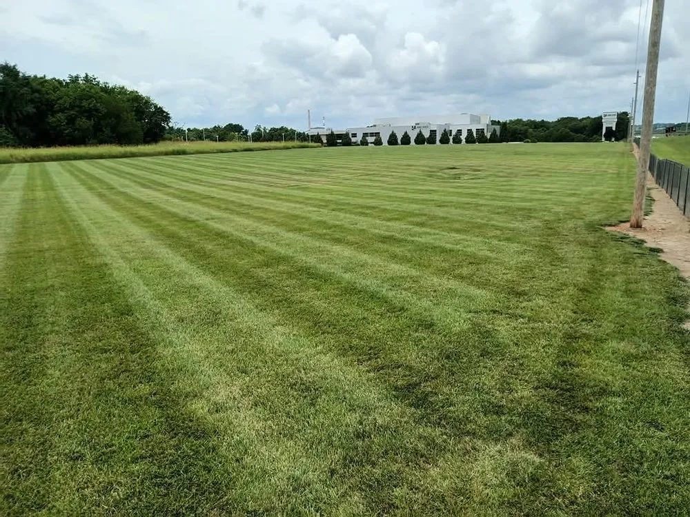 Expert yard maintenance for beautiful yards across Nixa, MO - Green Stripes Lawncare