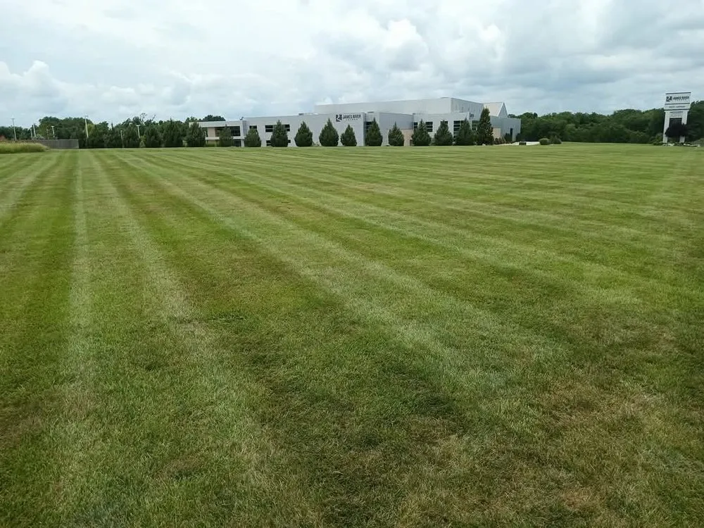 Expert landscape design in Nixa, MO - Green Stripes Lawncare