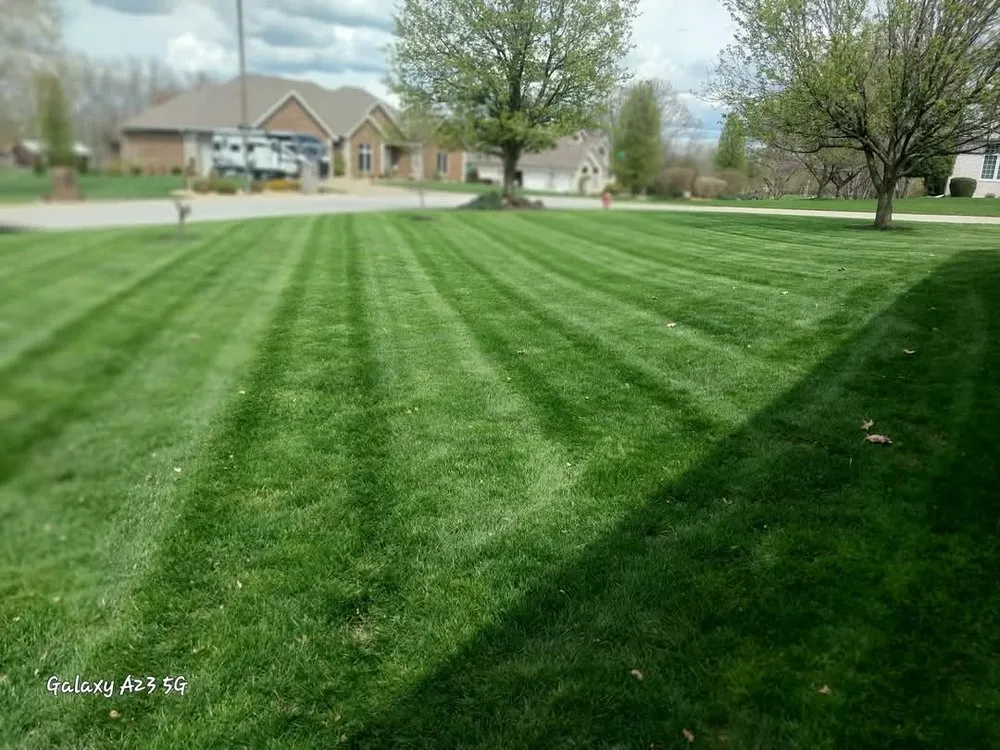 Professional yard maintenance for year-round maintenance across Nixa, MO - Green Stripes Lawncare