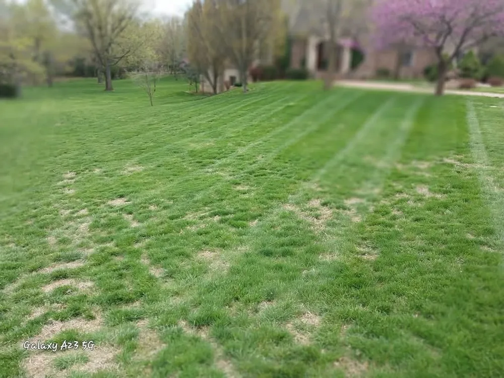 Local landscaping services in Nixa, MO by Green Stripes Lawncare