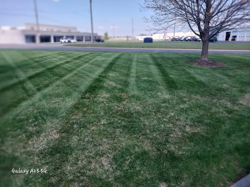 Trusted yard cleanup service for outdoor upgrades in Nixa, MO by Green Stripes Lawncare