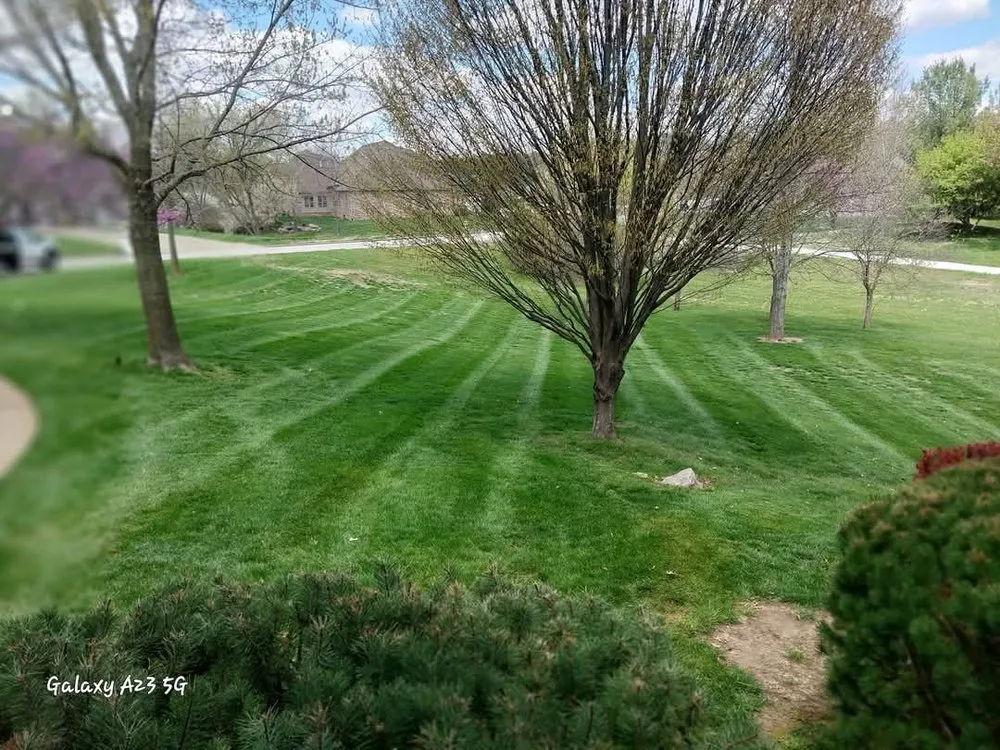 Professional yard cleanup service near you in Nixa, MO by Green Stripes Lawncare
