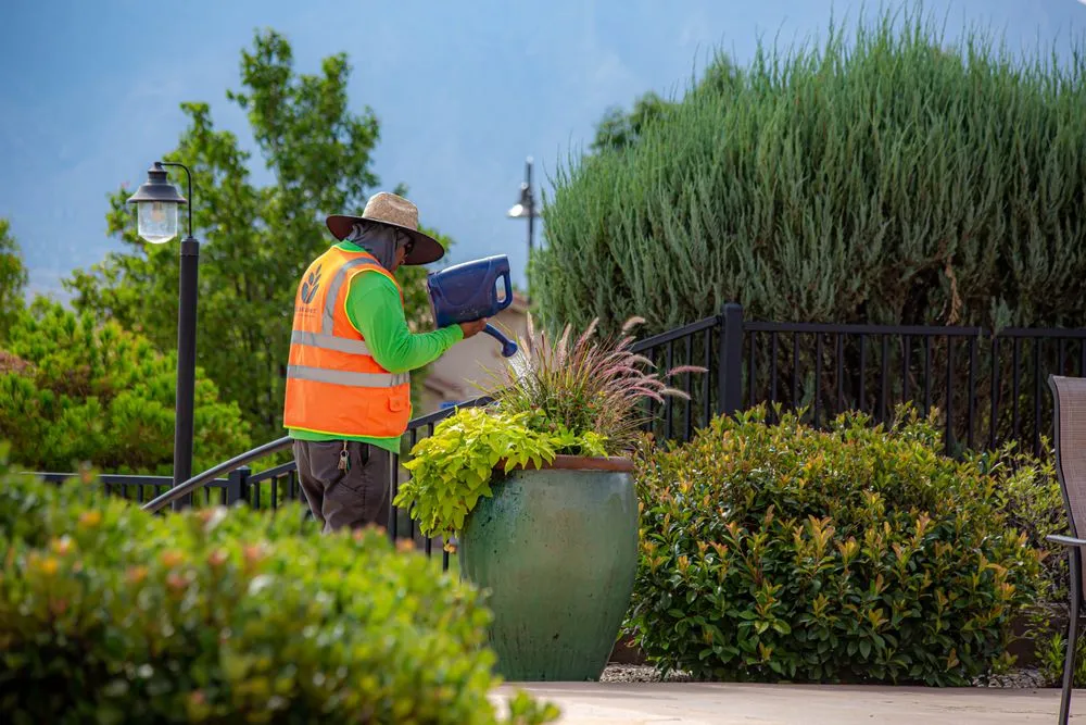 Trusted landscape design in Albuquerque, NM - Green Summit Landscape Management
