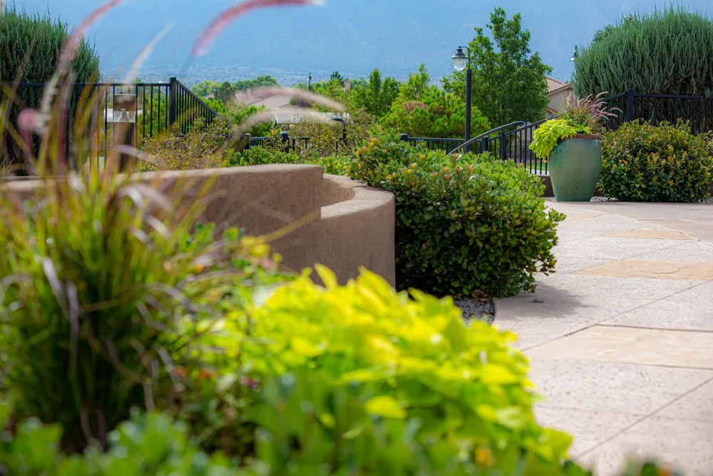 Professional lawn care service in Albuquerque, NM - Green Summit Landscape Management