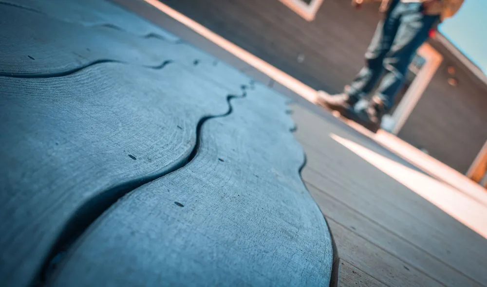 Trusted yard cleanup service in McKinleyville, CA by Green Sun Landscaping