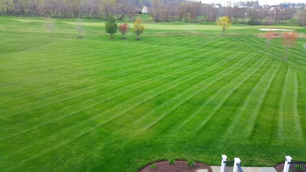 Top-rated outdoor landscaping experts serving Leesburg, VA - Green Sun