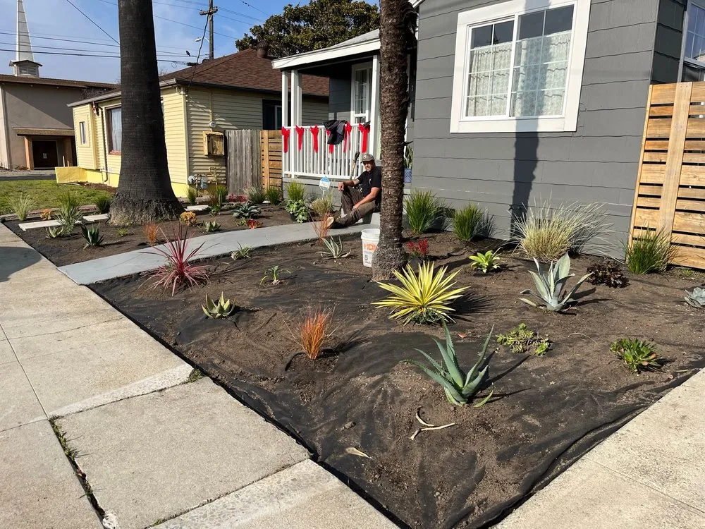 Professional lawn mowing service for beautiful yards across Richmond, CA - Green Sunsets