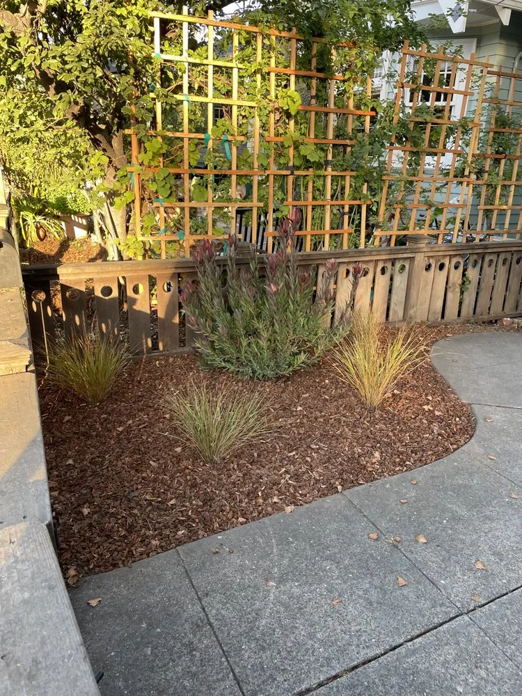 Professional lawn mowing service in Richmond, CA - Green Sunsets