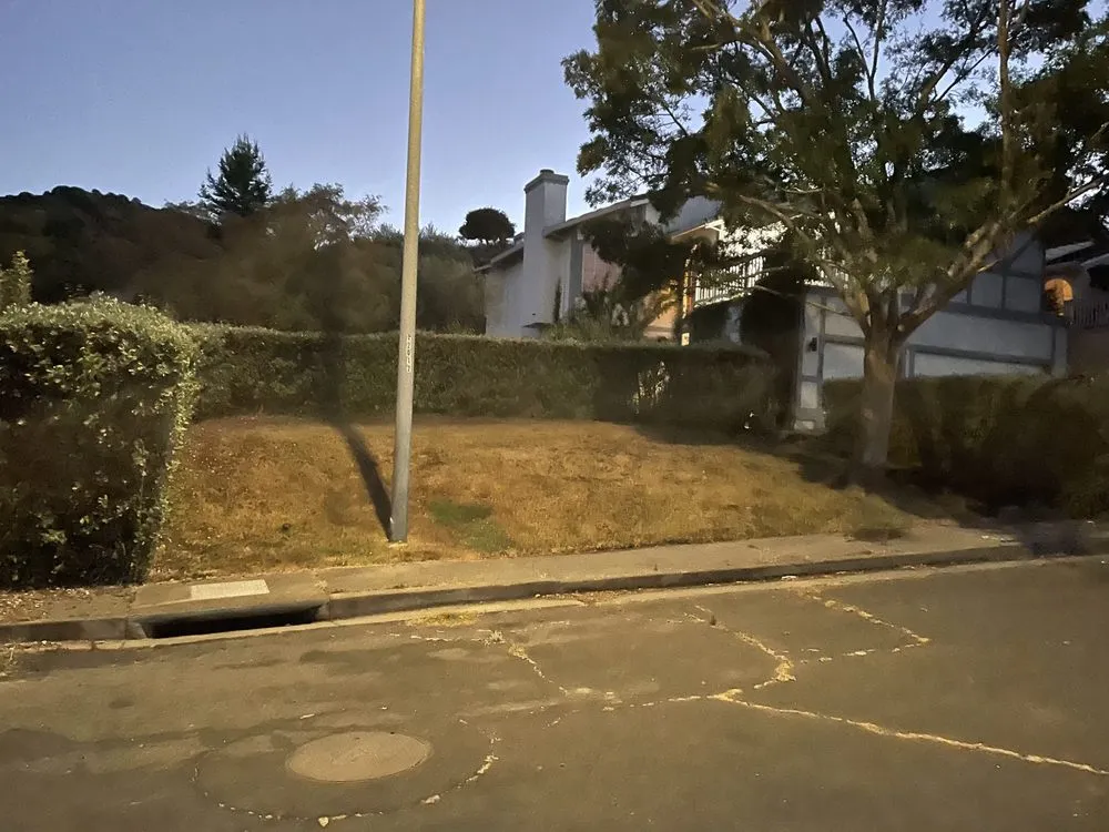 Affordable yard maintenance in Richmond, CA by Green Sunsets