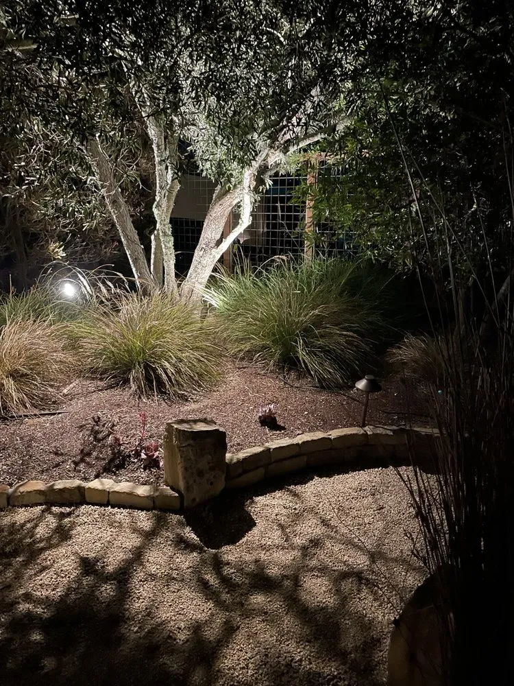 Top-rated yard cleanup service experts serving Richmond, CA - Green Sunsets