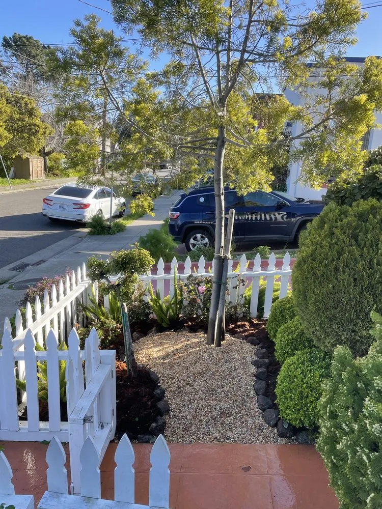 Reliable outdoor landscaping for homes in Richmond, CA by Green Sunsets