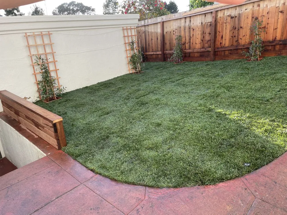 Affordable residential landscaping near you across Richmond, CA - Green Sunsets