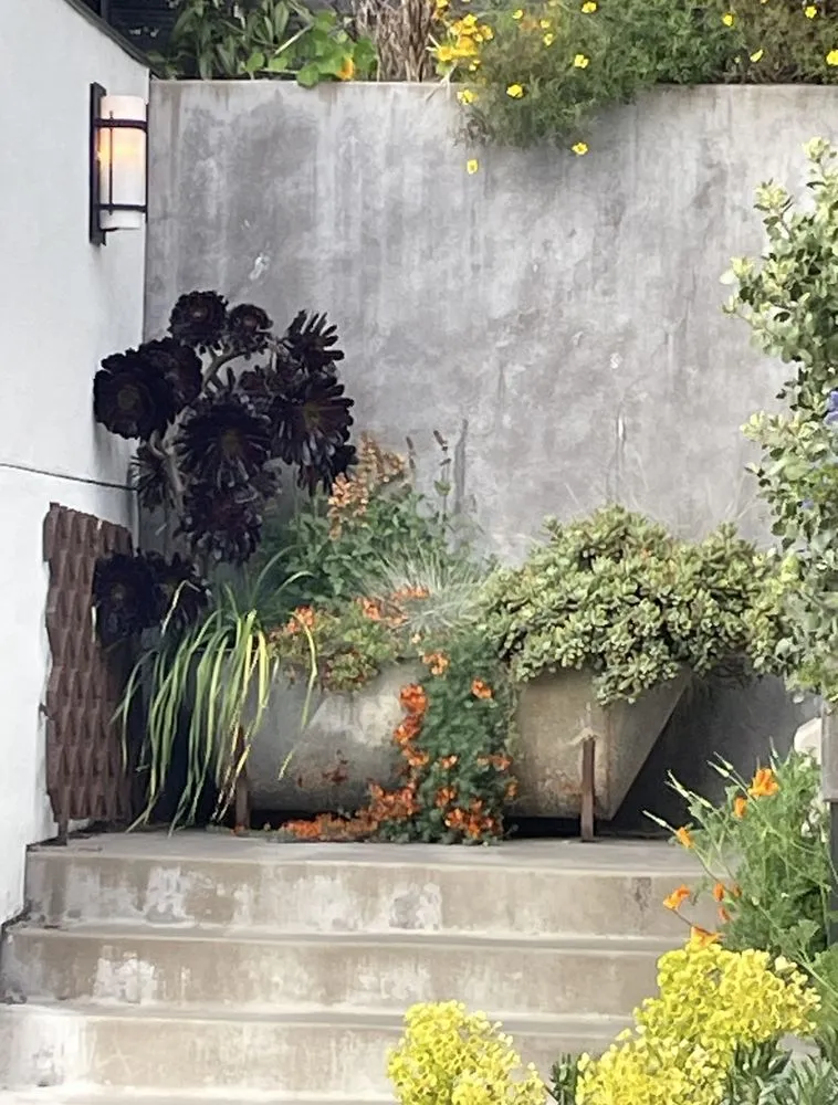 Expert lawn mowing service for homes in Richmond, CA by Green Sunsets