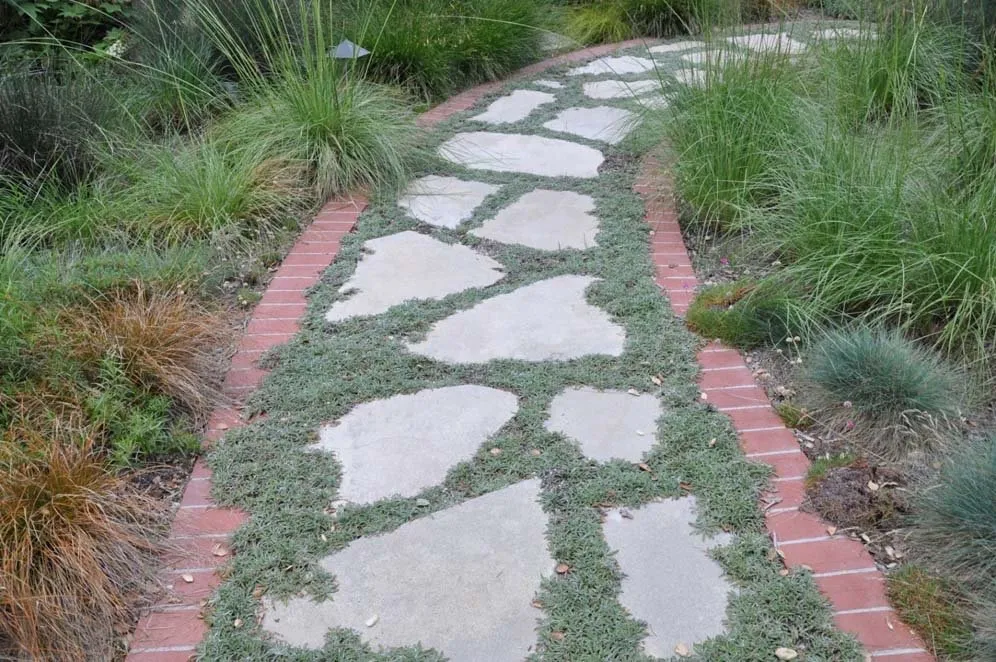 Trusted lawn care service in Richmond, CA by Green Sunsets