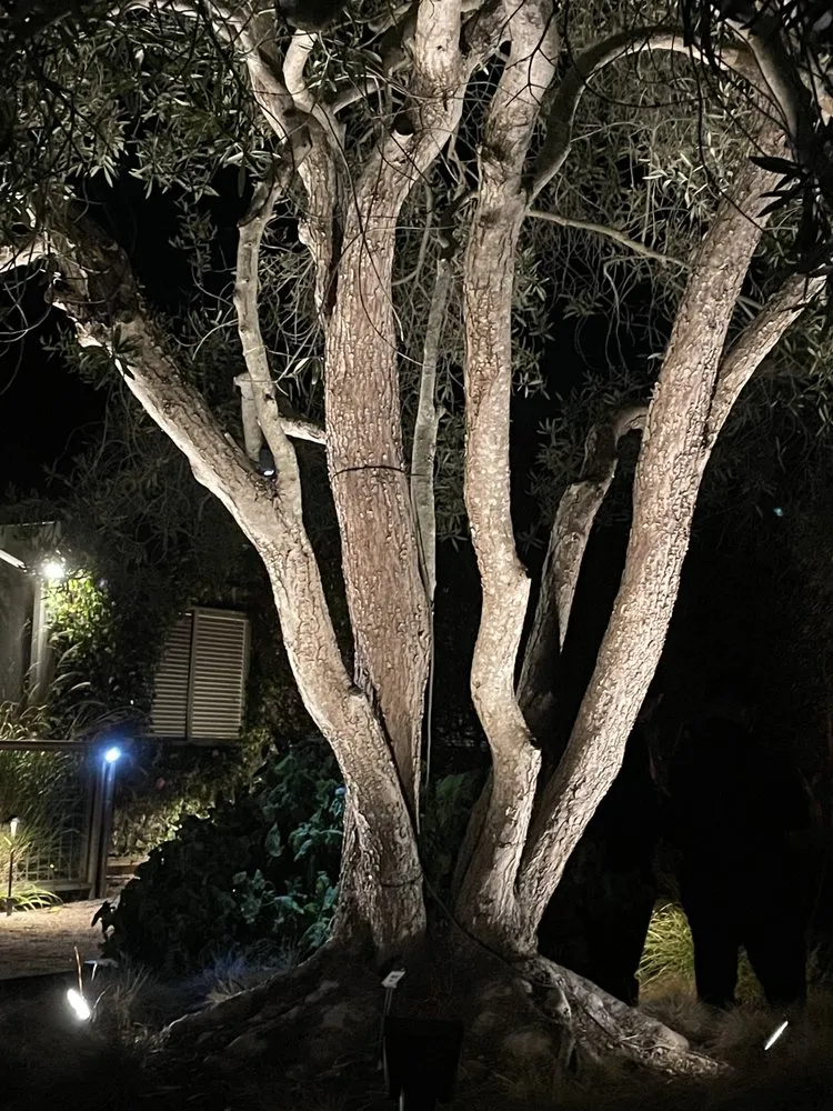 Affordable landscaping services for residential properties across Richmond, CA - Green Sunsets