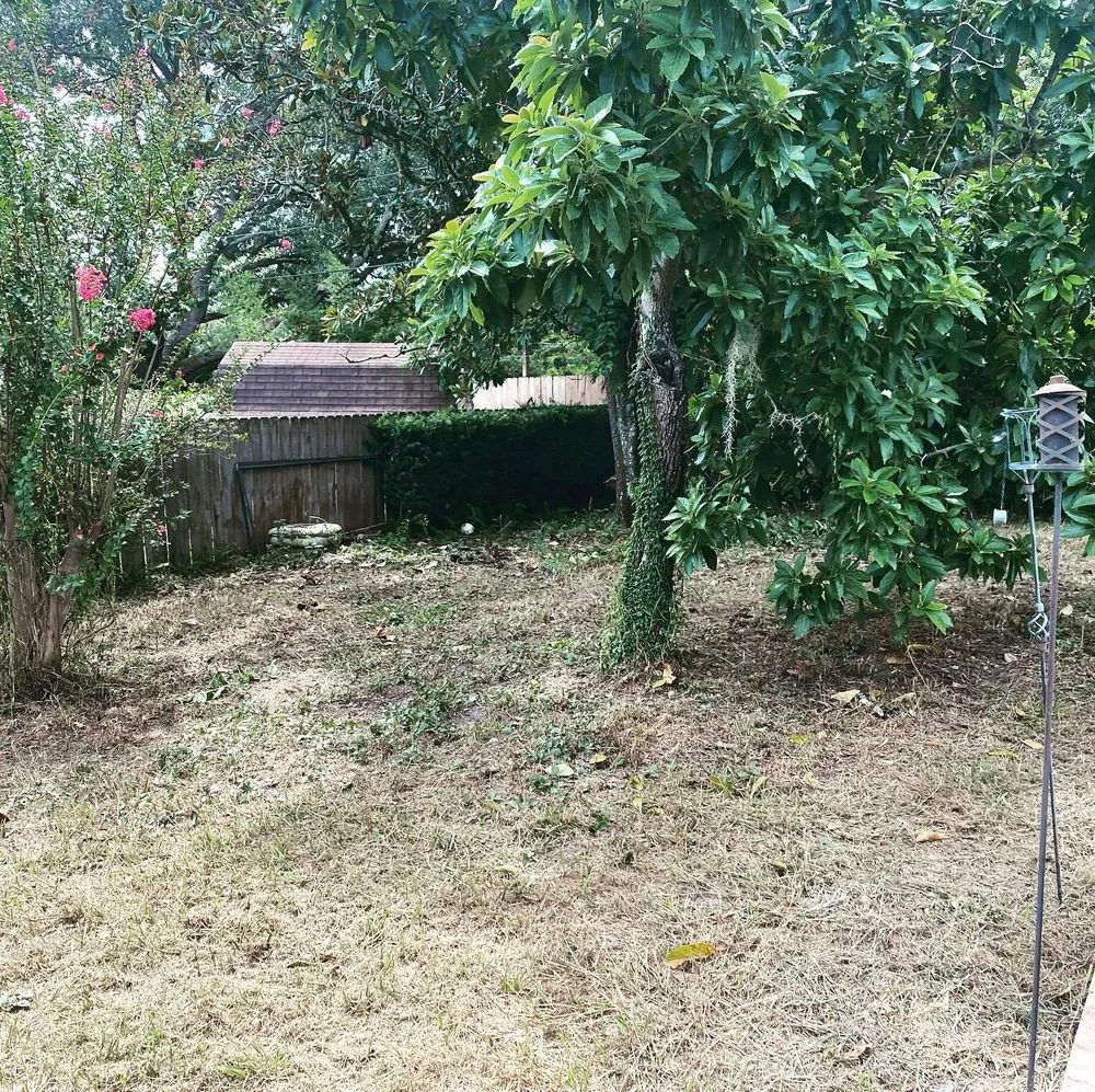 Reliable garden landscaping in Davenport, FL - Green Swamp Landscape Services