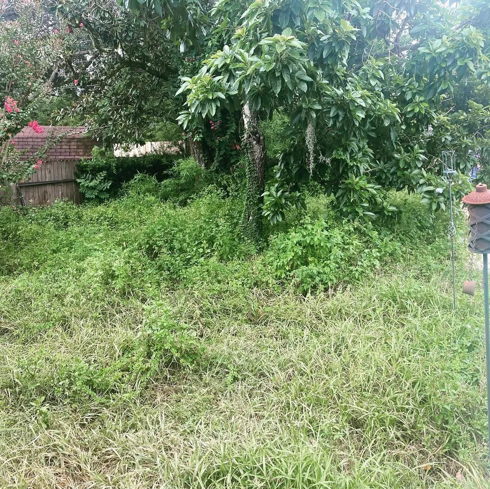 Expert outdoor landscaping with custom design across Davenport, FL - Green Swamp Landscape Services