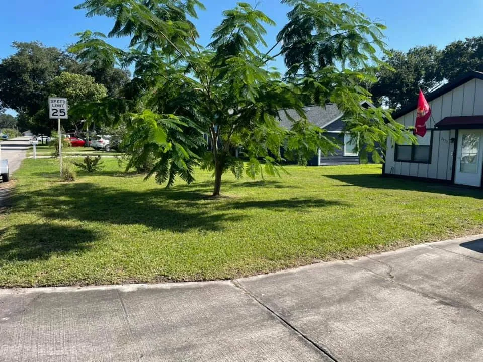 Reliable lawn care service in Davenport, FL by Green Swamp Landscape Services