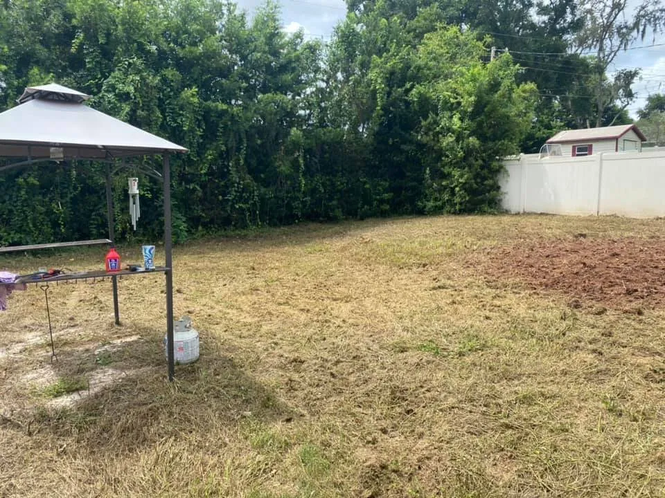 Reliable landscaping services experts serving Davenport, FL - Green Swamp Landscape Services