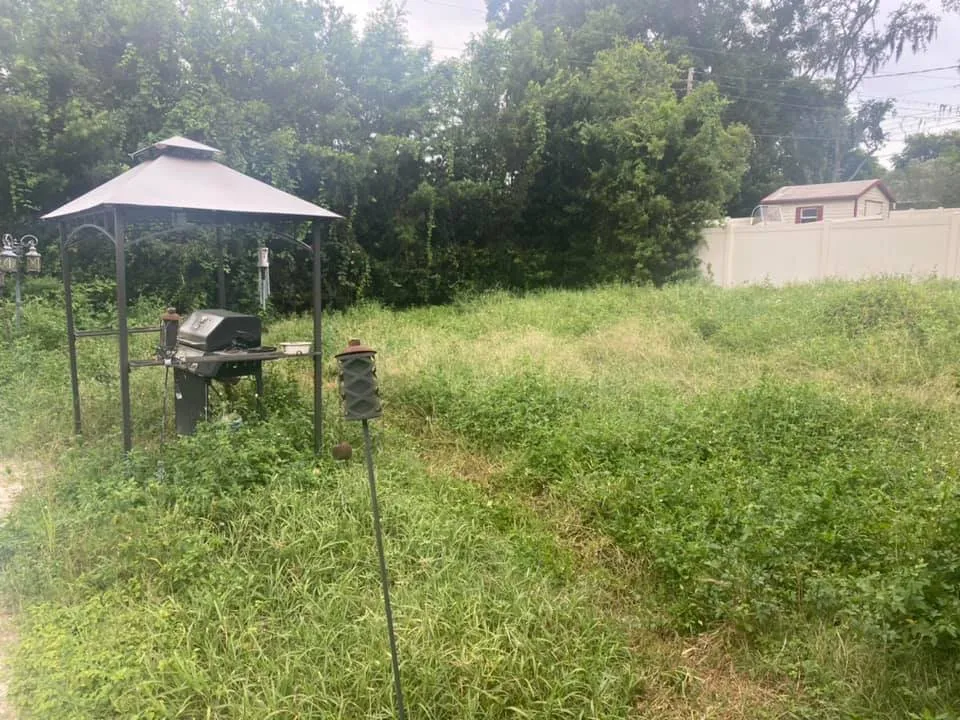 Expert landscape design for homes across Davenport, FL - Green Swamp Landscape Services