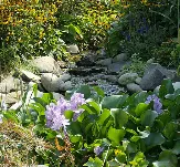 Custom garden landscaping for year-round maintenance across Piney Flats, TN - Green Sweep Landscape & Irrigation