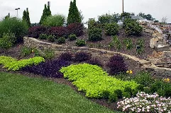 Top-rated lawn care service in Piney Flats, TN by Green Sweep Landscape & Irrigation