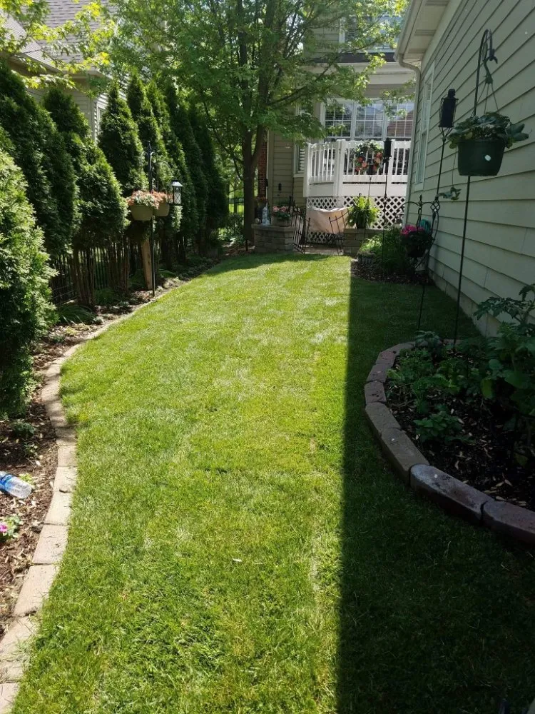 Professional yard cleanup service in DeKalb, IL - Green Sweep Lawn and Garden Services