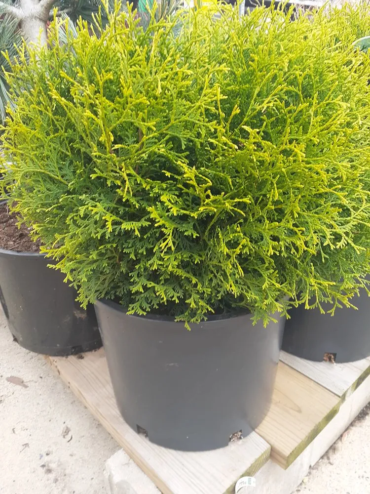 Affordable landscape installation experts serving DeKalb, IL - Green Sweep Lawn and Garden Services