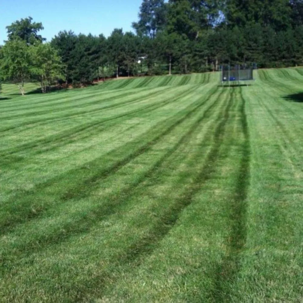 Trusted landscape design in DeKalb, IL - Green Sweep Lawn and Garden Services