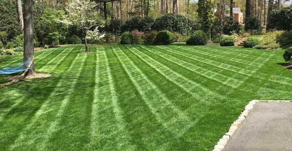 Expert residential landscaping for beautiful yards across DeKalb, IL - Green Sweep Lawn and Garden Services