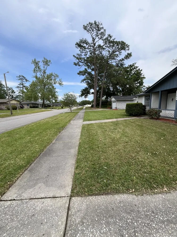 Trusted lawn mowing service in Fleming Island, FL - Green Sweep Lawn Services