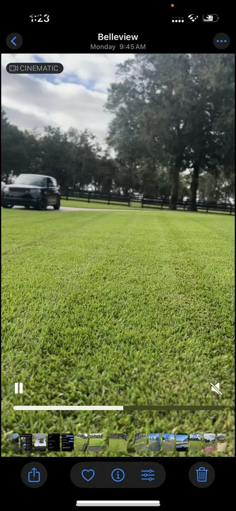 Expert yard cleanup service for outdoor upgrades in Ocala, FL by Green Sweep Pro Services