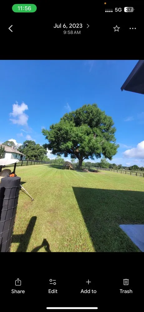 Top-rated lawn mowing service in Ocala, FL by Green Sweep Pro Services