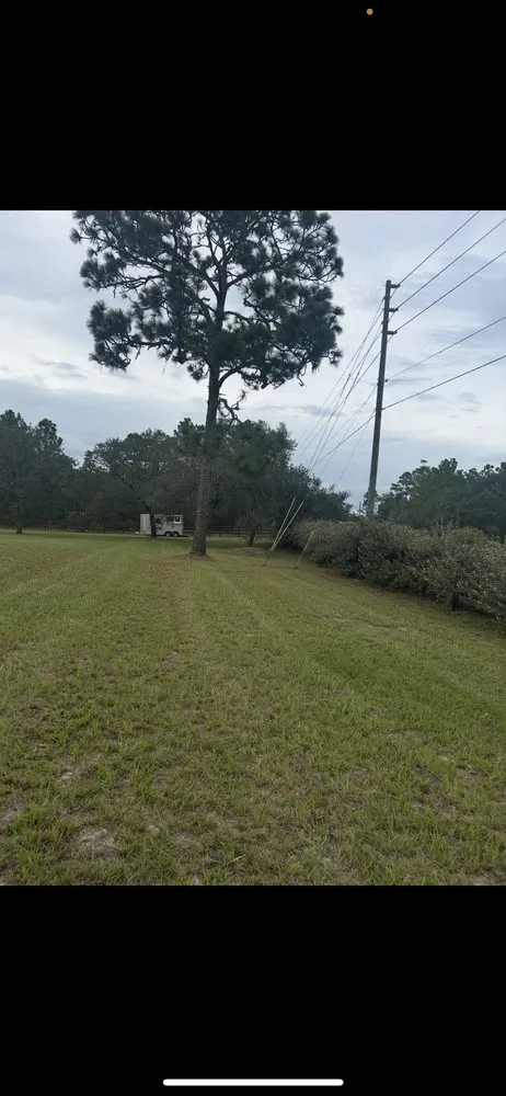 Affordable landscape design experts serving Ocala, FL - Green Sweep Pro Services